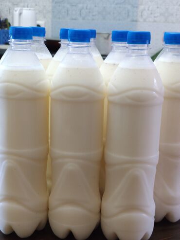 Молочные продукты и яйца: Саамал жана Нак Кымыз сатылат.Кочкордун жайлоосунан келет. Абдан жакшы