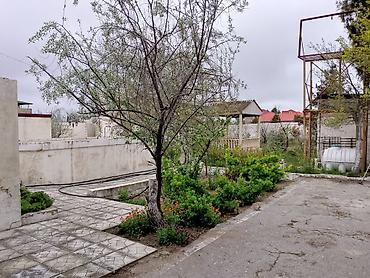 şəhər bağları: Digah, 90 kv. m, 4 otaqlı, Hovuzsuz, Kombi — 1