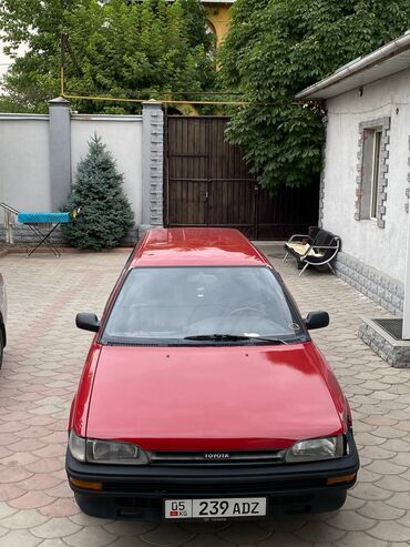 люк на камри: Toyota Corolla: 1988 г., 1.8 л, Механика, Дизель, Универсал