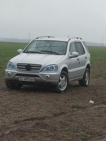 w163: Mercedes-Benz ML-Class: 1998 г., 3.2 л, Автомат, Бензин, Кроссовер — 1