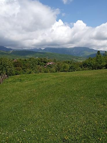 saatlı rayonu: 60 sot, Tikinti, Mülkiyyətçi, Kupça (Çıxarış) — 3