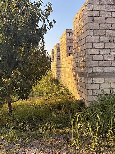 mal dili bitkisinin faydaları: Tikinti üçün natamam daş ev karkası - Material: keyfiyyətli daş — 3