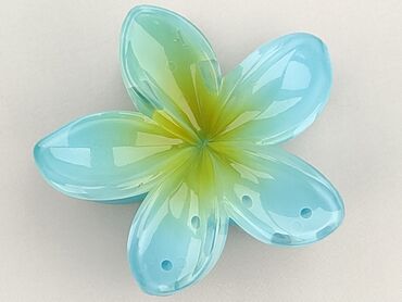 Hair clip, Female, condition - Very good