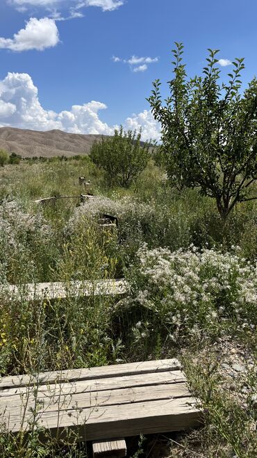 Продажа участков: 600 соток, Для сельского хозяйства, Красная книга, Тех паспорт, Договор купли-продажи — 27