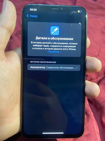 Apple iPhone: IPhone Xs, Б/у, 256 ГБ, Золотой, Чехол, 72 % — 9