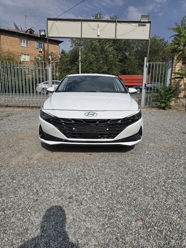 купить авто с кореи бу: Hyundai Avante: 2020 г., 1.6 л, Типтроник, Гибрид, Седан