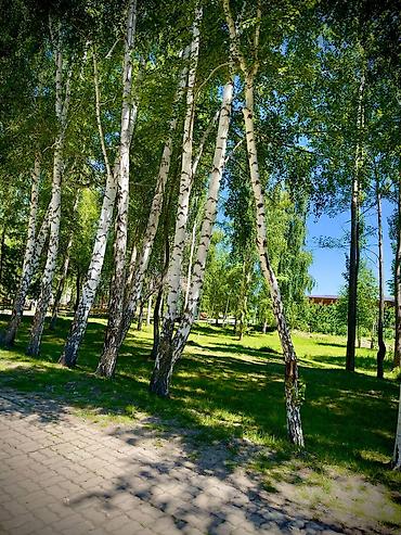 Продажа квартир: 3 комнаты, 46 м², Евроремонт — 9