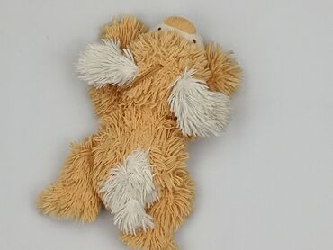 Mascot Dog, condition - Very good