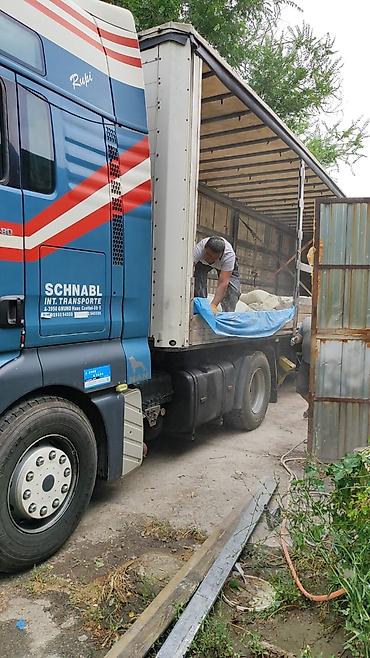 Тягачи: Тягач, MAN, 2005 г., Шторный — 9