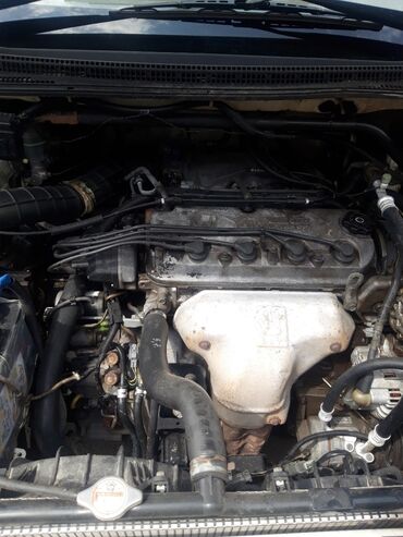 honda odyssey шатл: Honda Odyssey: 2000 г., 2.3 л, Автомат, Бензин, Вэн/Минивэн