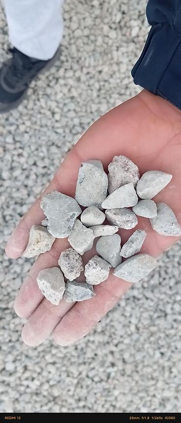 Грузовики: Грузовик, Стандарт — 9