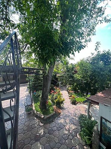 Мангалы: Мангал Классический — 12