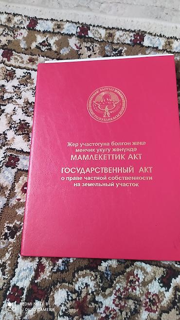 кой рамановский: Государственный акт о праве частной собственности на земельный участок — 1