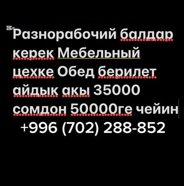 сборщик мебели: Талап кылынат Ар түрдүү жумуштарды жасаган жумушчу, Төлөм Ай сайын, Тажрыйбасыз