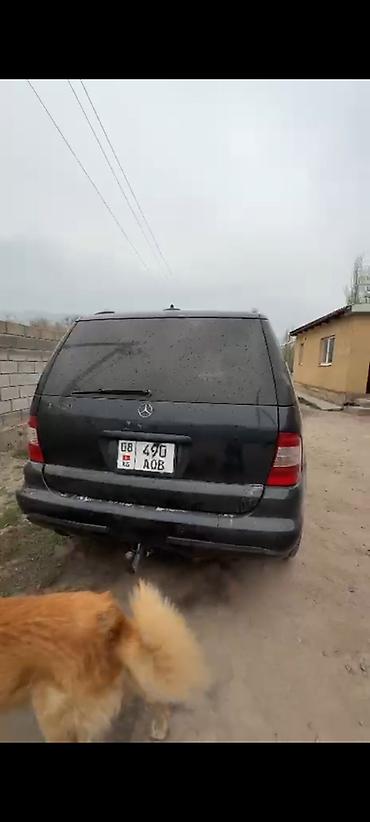 w163: Mercedes-Benz ML-Class: 2003 г., 3.2 л, Автомат, Бензин, Кроссовер — 9