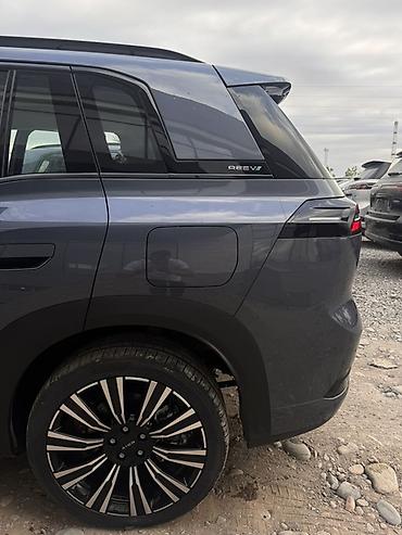 GAC: GAC AION i601.5hyb AT (245 л.с.), запас хода 1200 км Светодиодная — 5