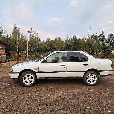 соната нью райс цена бишкек: Nissan Primera: 1993 г., 1.6 л, Механика, Бензин, Седан — 3