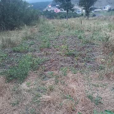 yari tikili evlər: Tikinti, Mülkiyyətçi, Kupça (Çıxarış) — 5