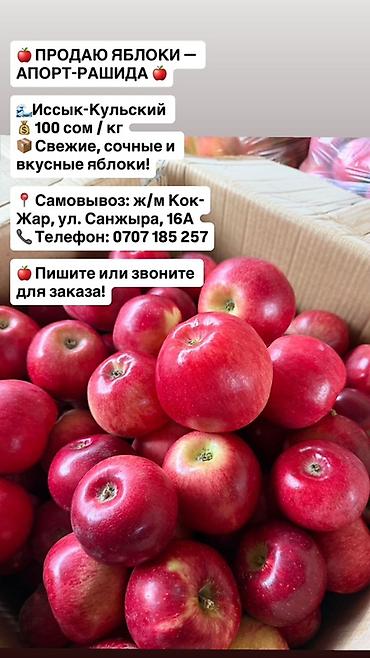 Яблоки В розницу