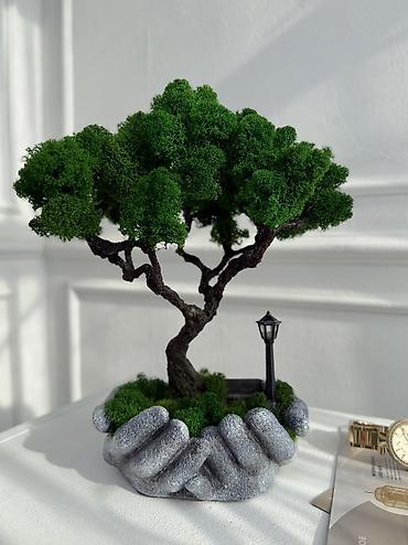 Декоративные цветы: Бонсай ручной работы из натурального стабилизированного мха от 1500 — 28