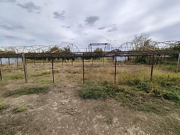 tent parça satışı: ❗ ÖMÜRLÜK KONSTRUKSİYA! 8 Sotluq, Qalın Rus Durbasından Parnik (İndiki — 2
