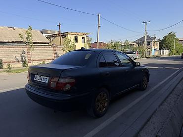 almer: Nissan Almera: 2002 г., 1.8 л, Механика, Бензин, Седан — 2