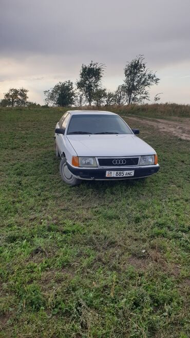 diski bu na audi: Audi 100: 1985 г., 1.9 л, Механика, Дизель, Седан