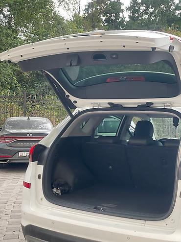 Hyundai: Hyundai Tucson: 2020 г., 2 л, Автомат, Дизель, Кроссовер — 11