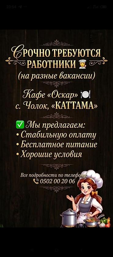 motion design: Требуется сотрудник: Кафе, Оплата: Ежемесячно — 1