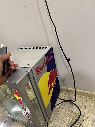 Холодильное оборудование: Red Bull brendli mini vitrin soyuducu - Kommersiya tipli masaüstü — 3