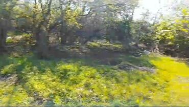 Torpaq sahələrinin satışı: 85 sot, Kənd təsərrüfatı, Mülkiyyətçi, Kupça (Çıxarış) -da lalafo.az — 7 Torpaq sahələrinin satışı: 85 sot, Kənd təsərrüfatı, Mülkiyyətçi, Kupça (Çıxarış) — 7