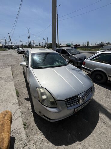 машина семорка: Nissan Maxima: 2004 г., 3.5 л, Автомат, Газ, Седан