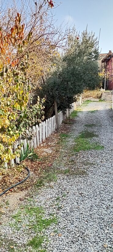 Həyət evləri və villaların satışı: 8 otaq, 450 kv. m, Kredit yoxdur, Orta təmir -da lalafo.az — 1 Həyət evləri və villaların satışı: 8 otaq, 450 kv. m, Kredit yoxdur, Orta təmir — 1