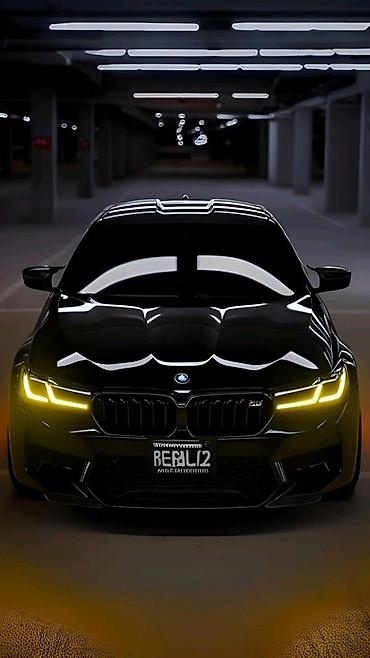 х5 бмв: BMW X5 M: 2026 г., Кроссовер — 5