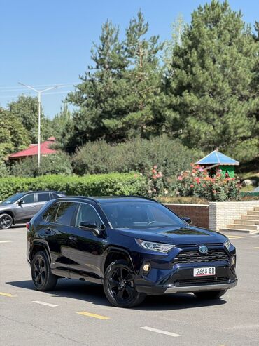купить бампер на дэу нексия: Toyota RAV4: 2020 г., 2.5 л, Автомат, Гибрид, Кроссовер