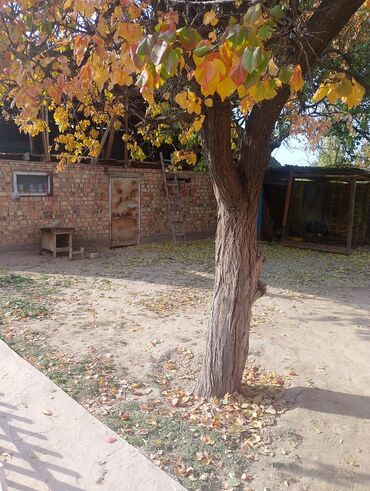 куплю дом в бишкеке недорого: Дача, 72 кв. м, 4 бөлмө, Менчик ээси