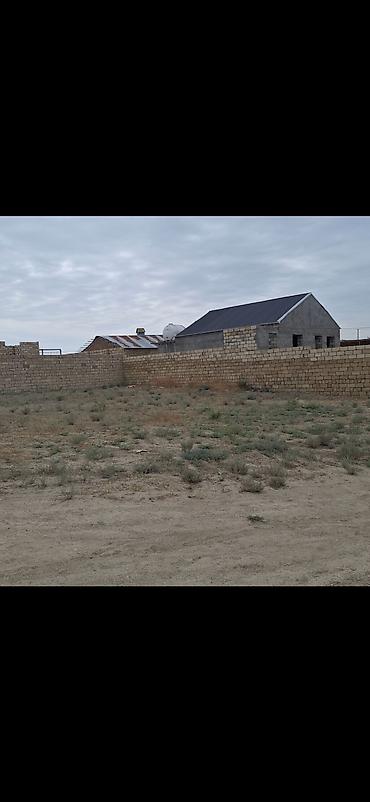 ucuz menzillerin satisi: Tikinti — 2