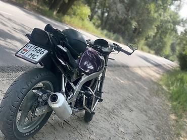 triumph thruxton 900 цена: Мотоцикл Suzuki gs500e 92года выпуска, состояние технически идеальное — 3