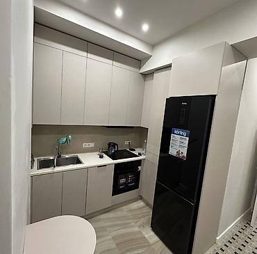 Долгосрочная аренда квартир: 3 комнаты, Собственник, Без подселения, С мебелью полностью — 6