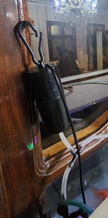 Akvariumlar: Dördbucaq akvarium, Balıqlarla birlikdə, 120 l — 21