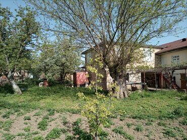 Həyət evləri və villaların satışı: 15 otaq, 300 kv. m, Kredit yoxdur, Orta təmir -da lalafo.az — 12 Həyət evləri və villaların satışı: 15 otaq, 300 kv. m, Kredit yoxdur, Orta təmir — 12