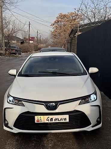 аккорд торнео сир: Сдаю Toyota Corolla, Посуточно, Без водителя, | Залог, Водительские права — 1