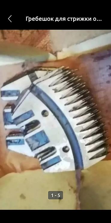 Животные: Гребешок для стрижки овец оригинал СССР — 1