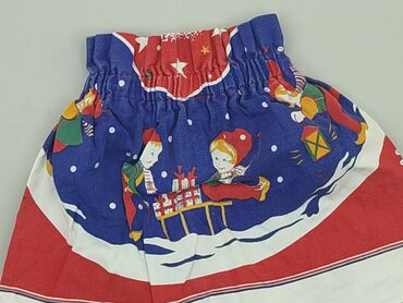 spódniczka na rozpoczęcie roku: Skirt, 3-4 years, 98-104 cm, condition - Very good