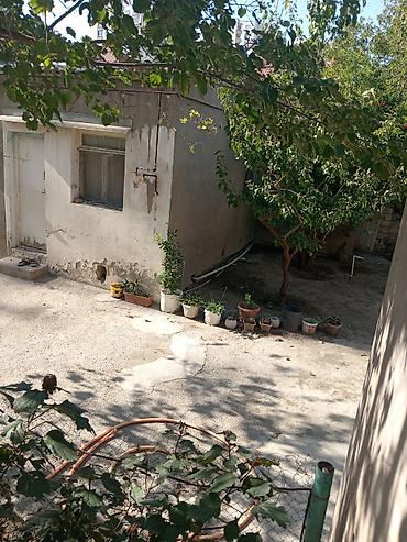 sebail ev: Kirayə ev verilir bir otaq, patamdarta çatmamiş zapravka tərəf — 1