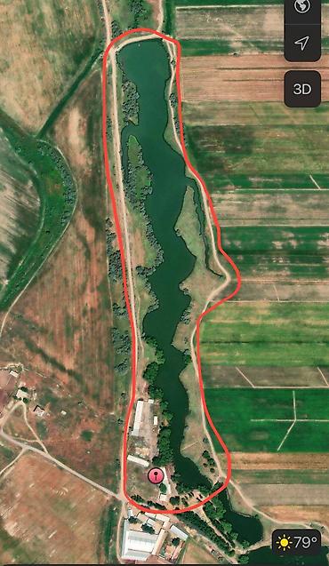 Продажа сельхоз предприятий: Ферма КРС, 17 соток, Частично с оборудованием, Электричество, Скважина, Холодная вода — 5