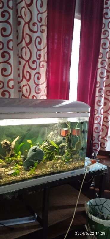 купить аквариум для рыбок недорого: На 400 литров!!!❤️Продается заводской аквариум Продается в полной