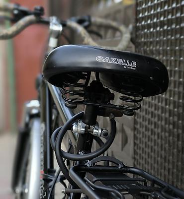 Городские велосипеды: Велосипед из Германии. Это модель "Prince Streetcoach" относится к — 20