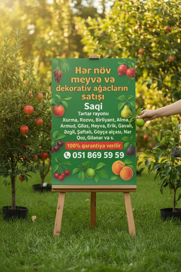 Tinglər: Meyvə və dekorativ ağac tingləri Təsvir: - Tərtər rayonu ərazisində — 1