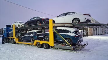 Прицепы и полуприцепы: Прицеп, Автовоз, от 12 т, Б/у — 12